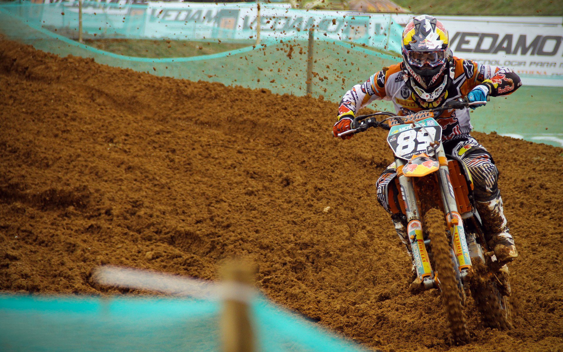 墨西哥马术协会与科技公司合作，开发虚拟现实训练平台，提升骑手技能。